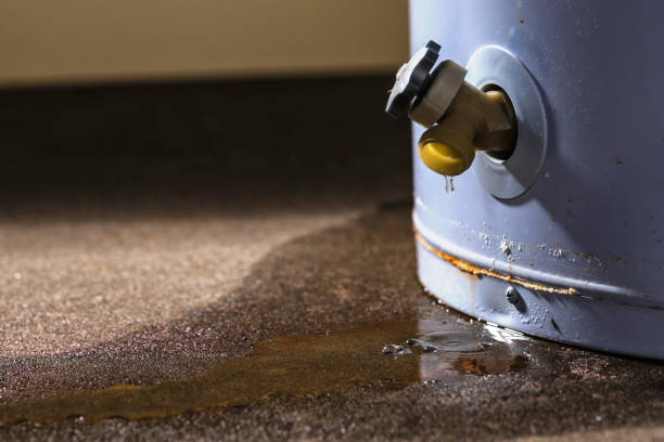 Best Water damage restoration process  in Rosemont, PA