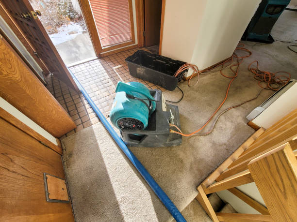 Best Professional water damage repair  in Rosemont, PA