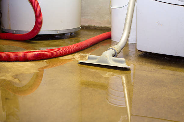 Best Water damage contractors near me  in Rosemont, PA