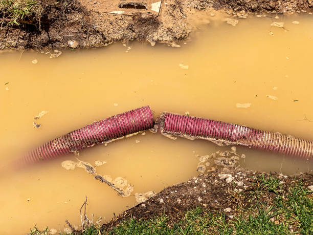  Rosemont, PA Water damage restoration Pros