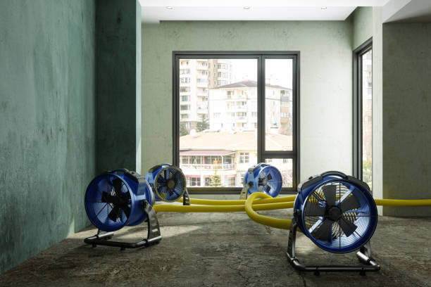 Best Residential water damage restoration  in Rosemont, PA
